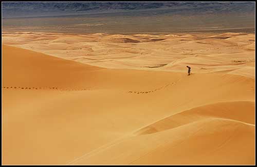 Desierto de Gobi