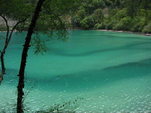 Lago Panda en el Valle Rize